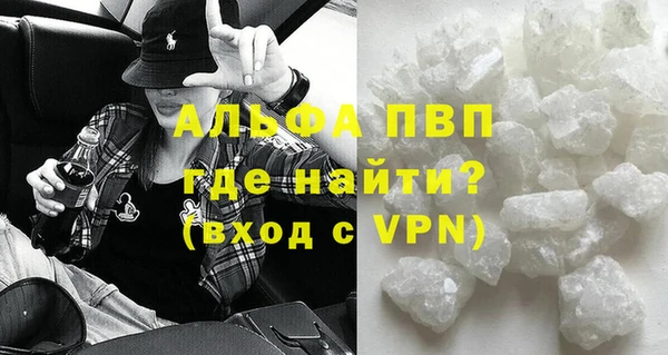 стаф Бородино