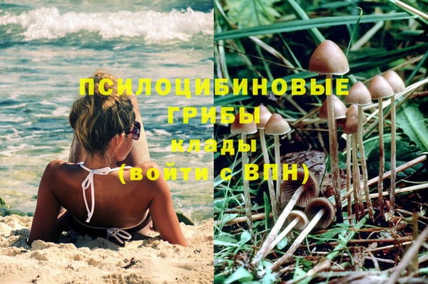 apvp Новокубанск