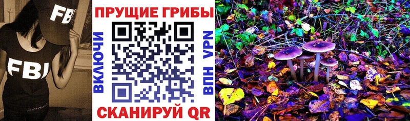Галлюциногенные грибы GOLDEN TEACHER  цена наркотик  ОМГ ОМГ сайт  Красногорск 