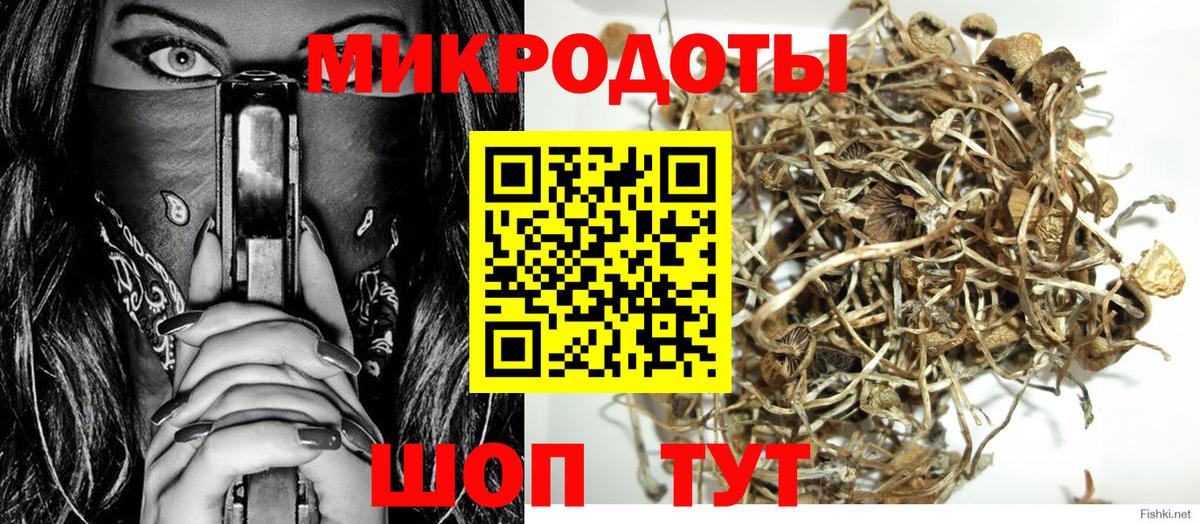 Галлюциногенные грибы GOLDEN TEACHER  Вход с VPN  Красногорск 