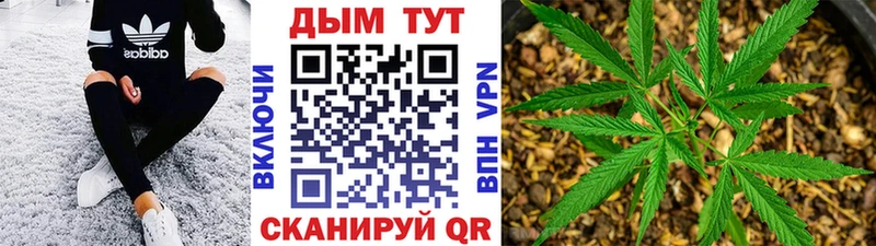 Каннабис семена  Красногорск 